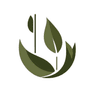CarbonCTRL Logo